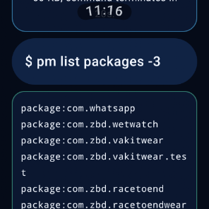 WearBridge watch terminal output: pm list packages