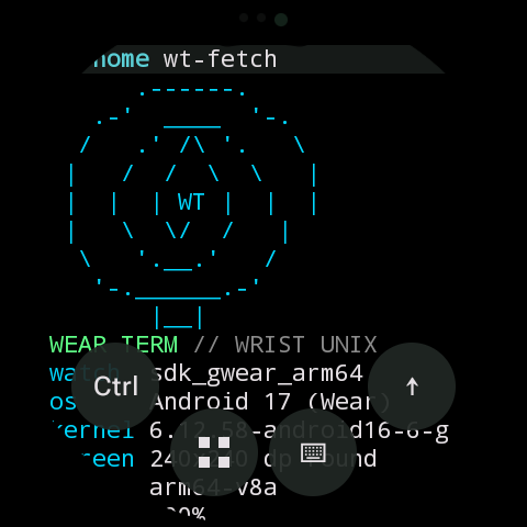 wt-fetch printing a WT ASCII logo with the watch model, Android version, kernel and screen size