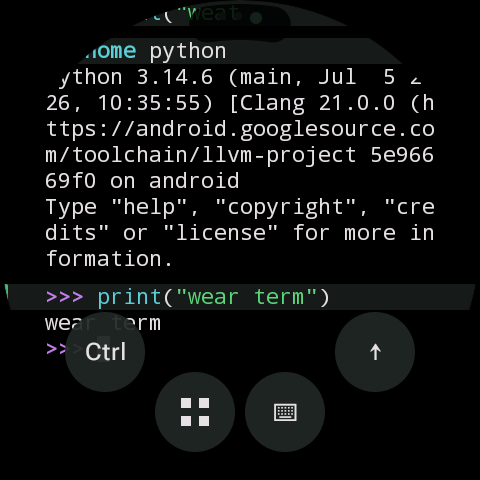 Python 3.14 REPL on the watch printing wear term